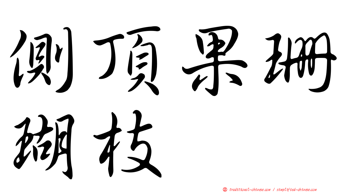 側頂果珊瑚枝