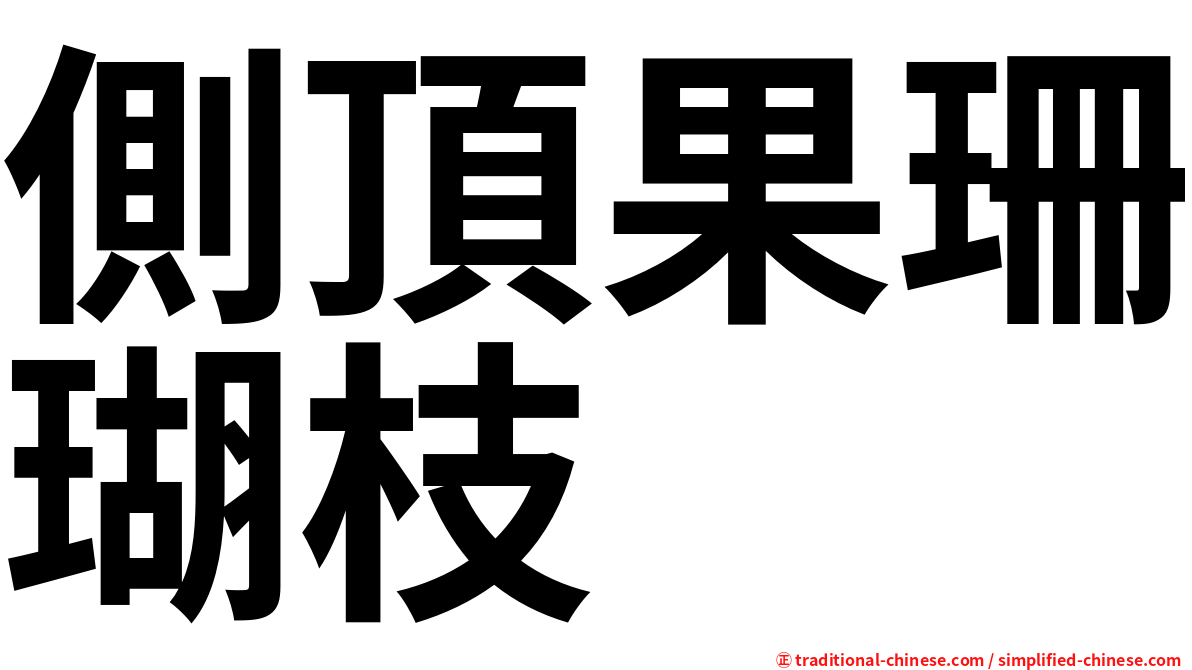 側頂果珊瑚枝