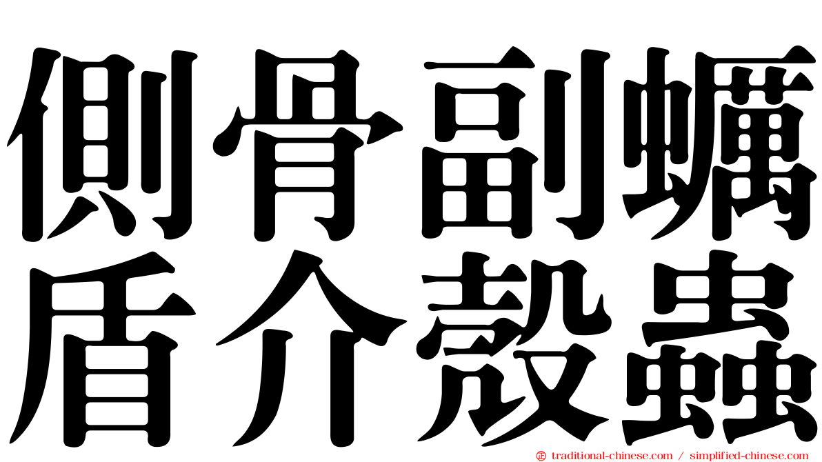 側骨副蠣盾介殼蟲