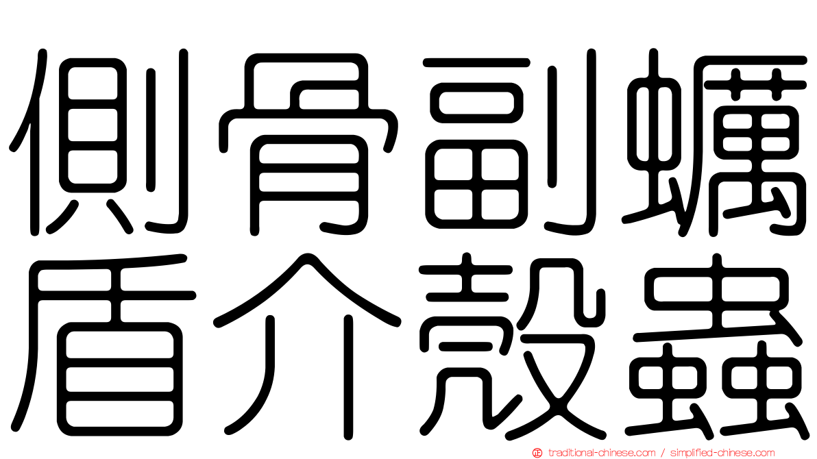 側骨副蠣盾介殼蟲