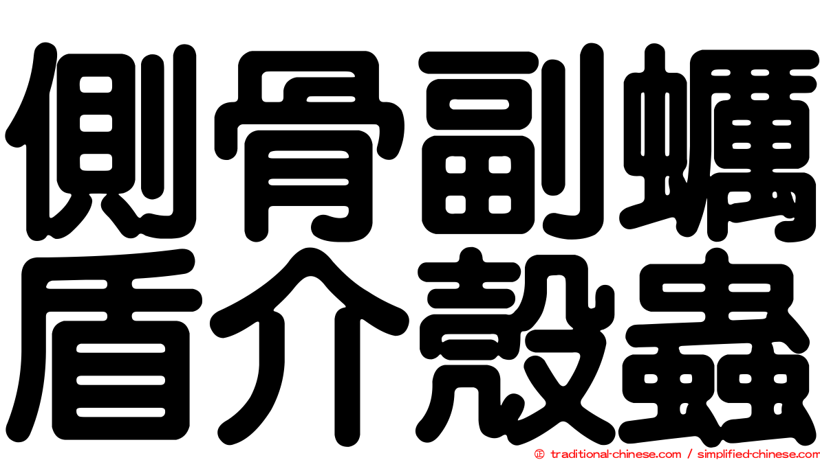 側骨副蠣盾介殼蟲