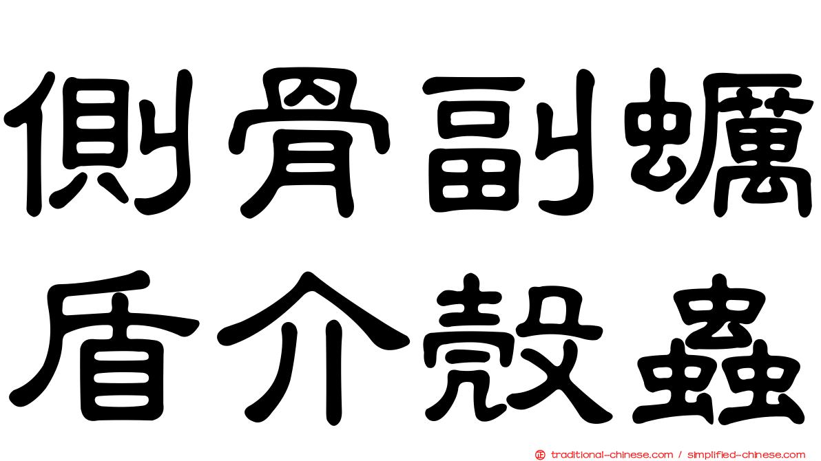 側骨副蠣盾介殼蟲