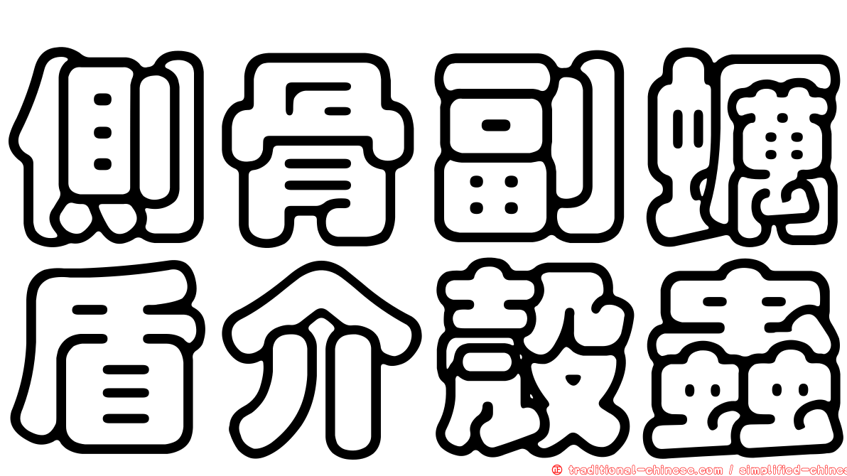 側骨副蠣盾介殼蟲