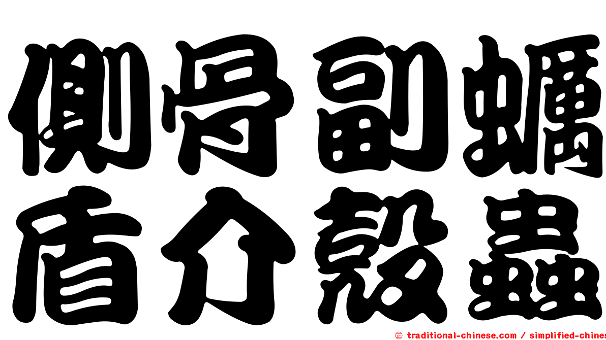 側骨副蠣盾介殼蟲