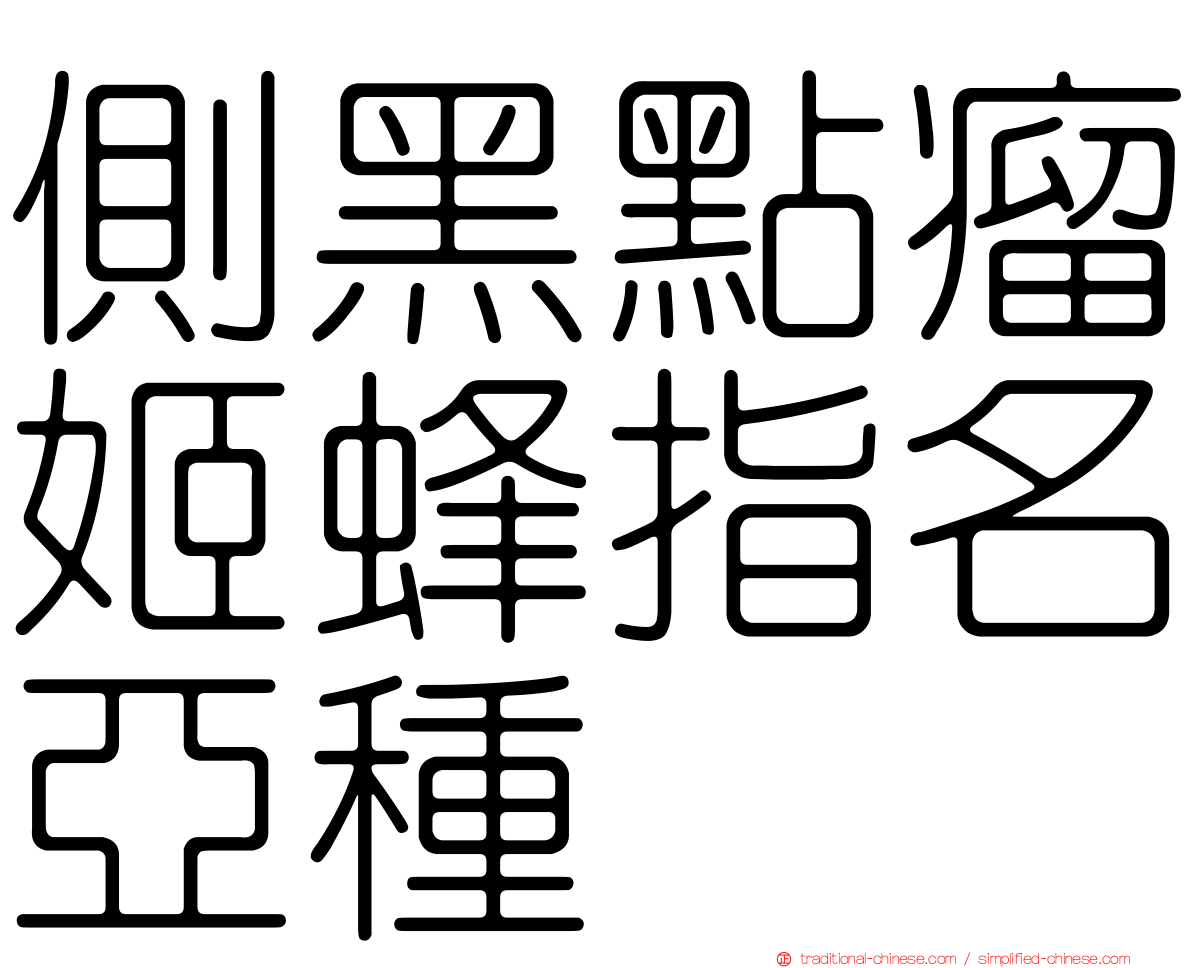 側黑點瘤姬蜂指名亞種