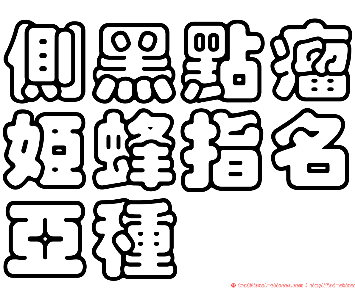 側黑點瘤姬蜂指名亞種