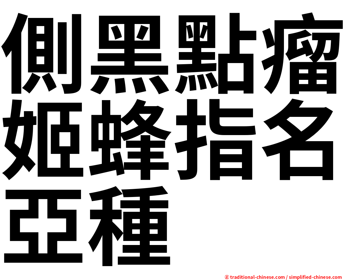 側黑點瘤姬蜂指名亞種