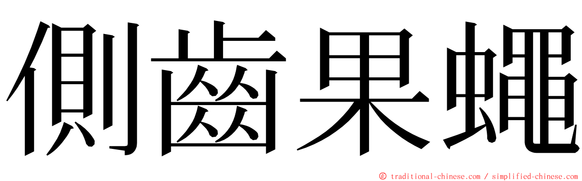 側齒果蠅 ming font