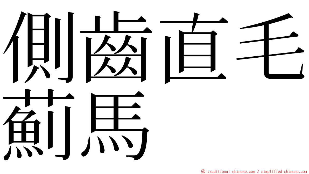 側齒直毛薊馬 ming font