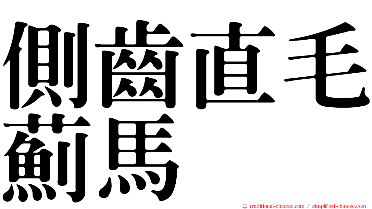 側齒直毛薊馬