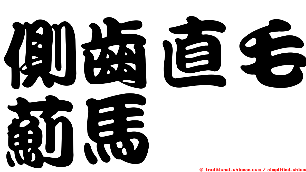 側齒直毛薊馬