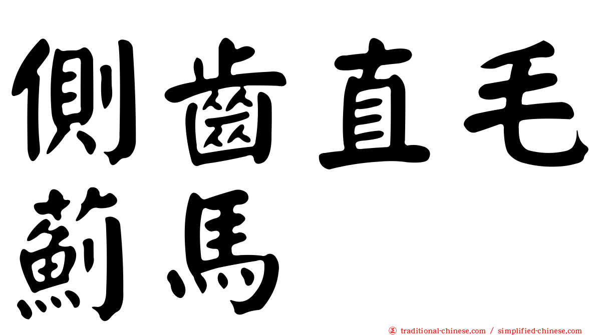 側齒直毛薊馬