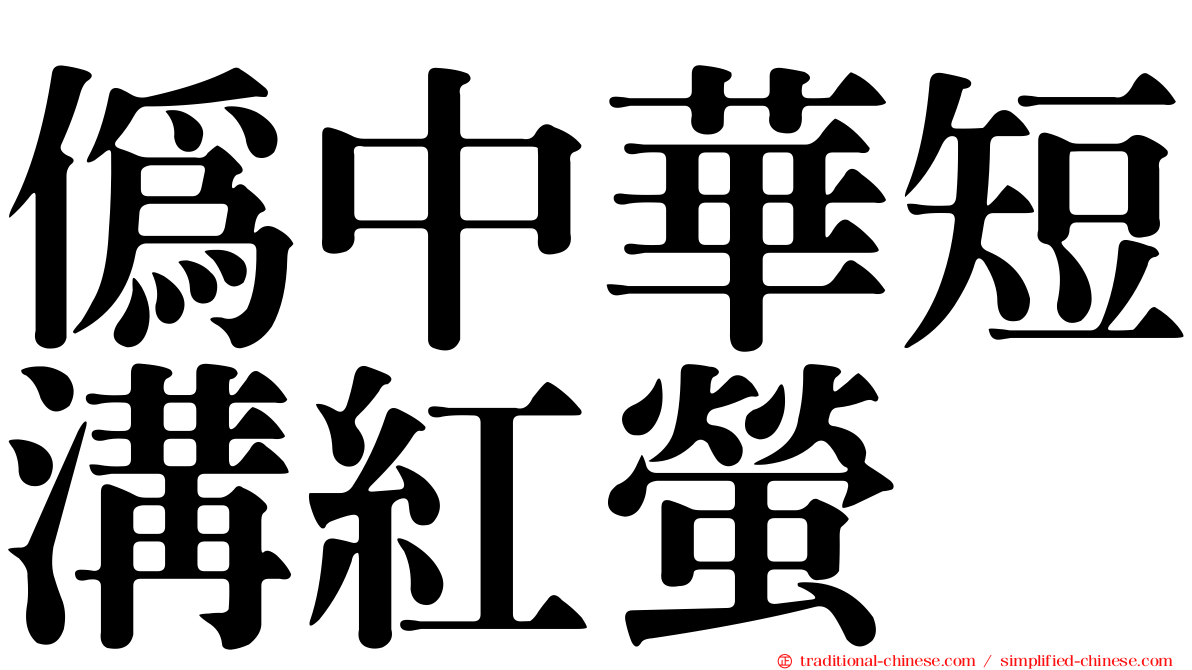偽中華短溝紅螢