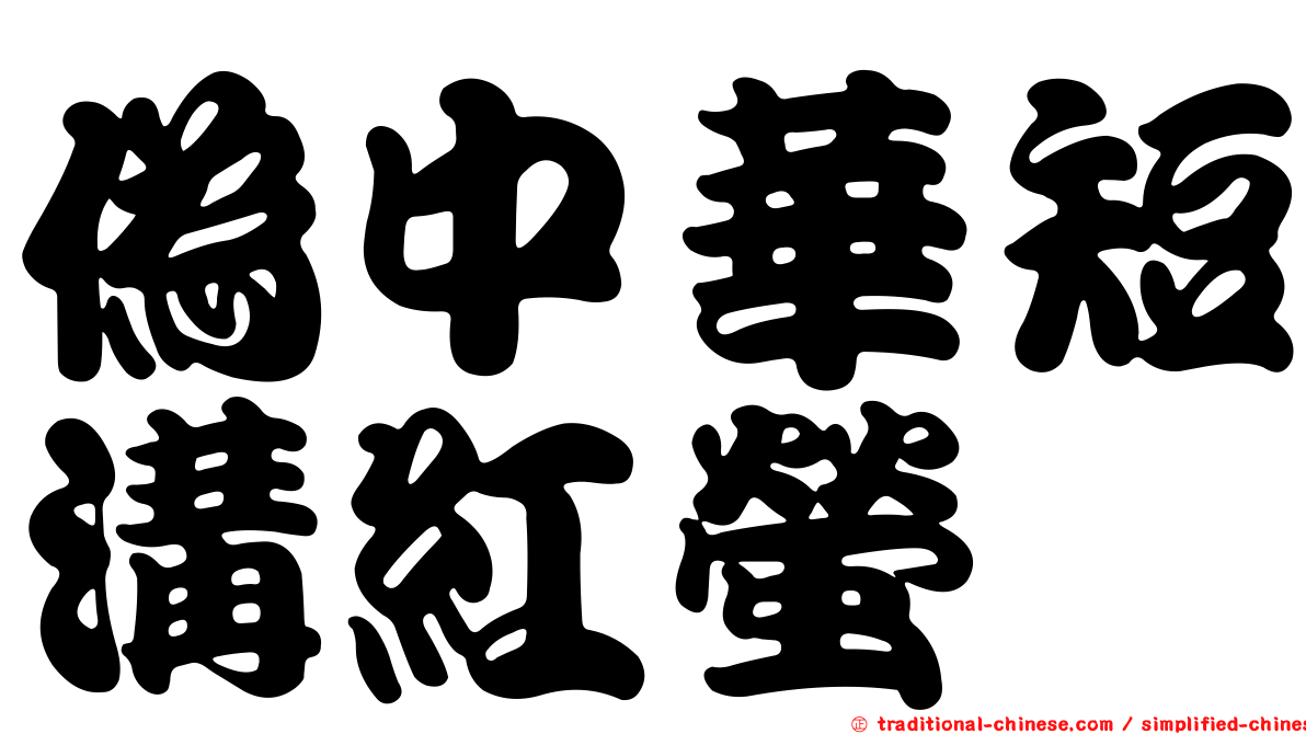 偽中華短溝紅螢
