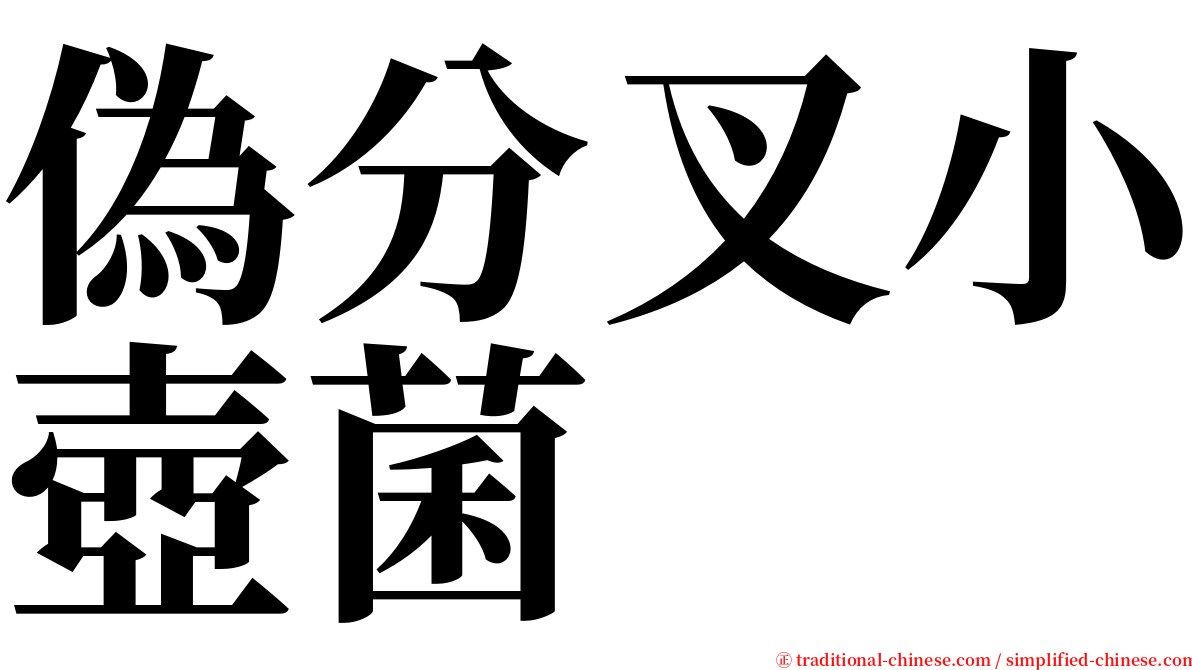 偽分叉小壺菌 serif font