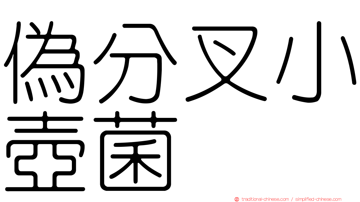 偽分叉小壺菌
