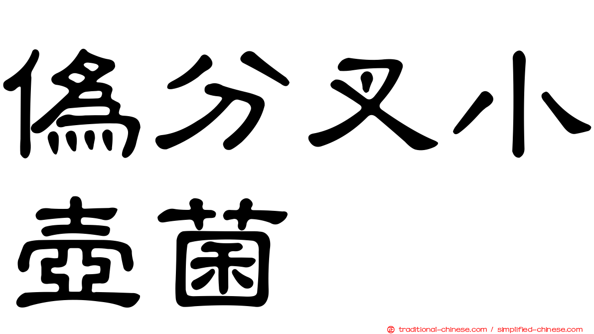 偽分叉小壺菌