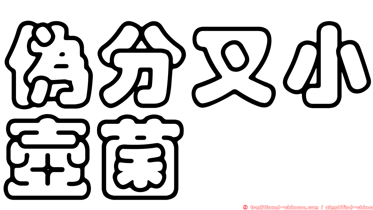 偽分叉小壺菌
