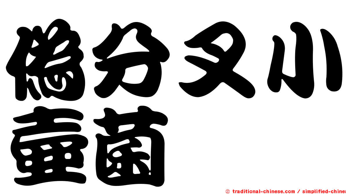偽分叉小壺菌