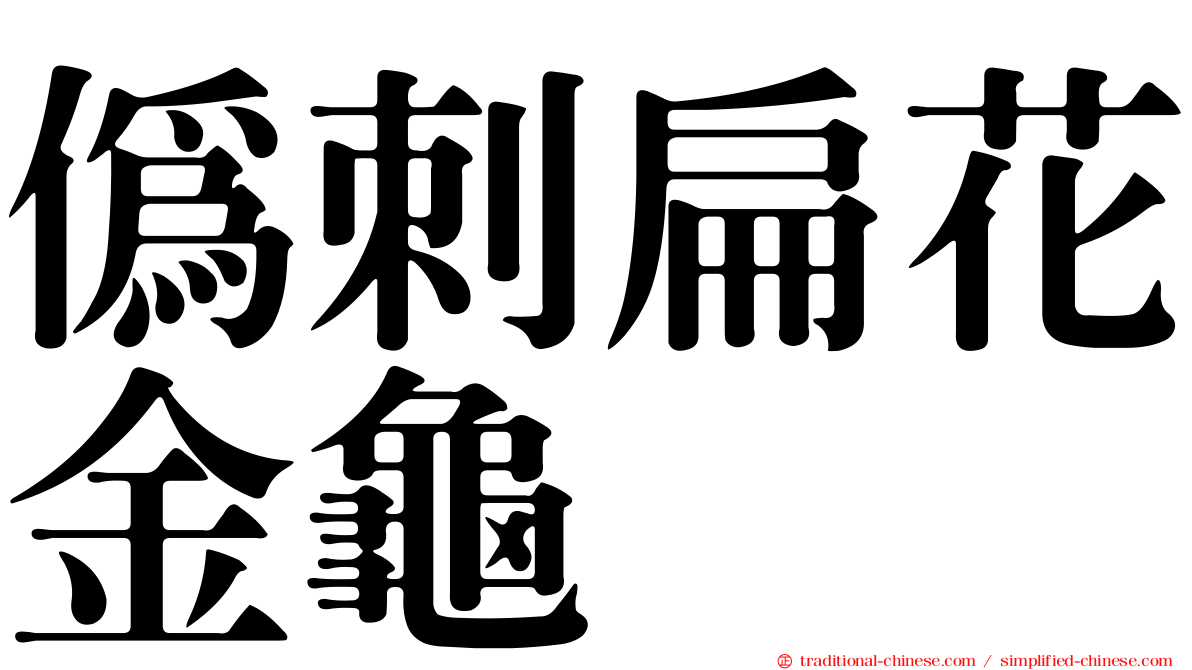 偽刺扁花金龜