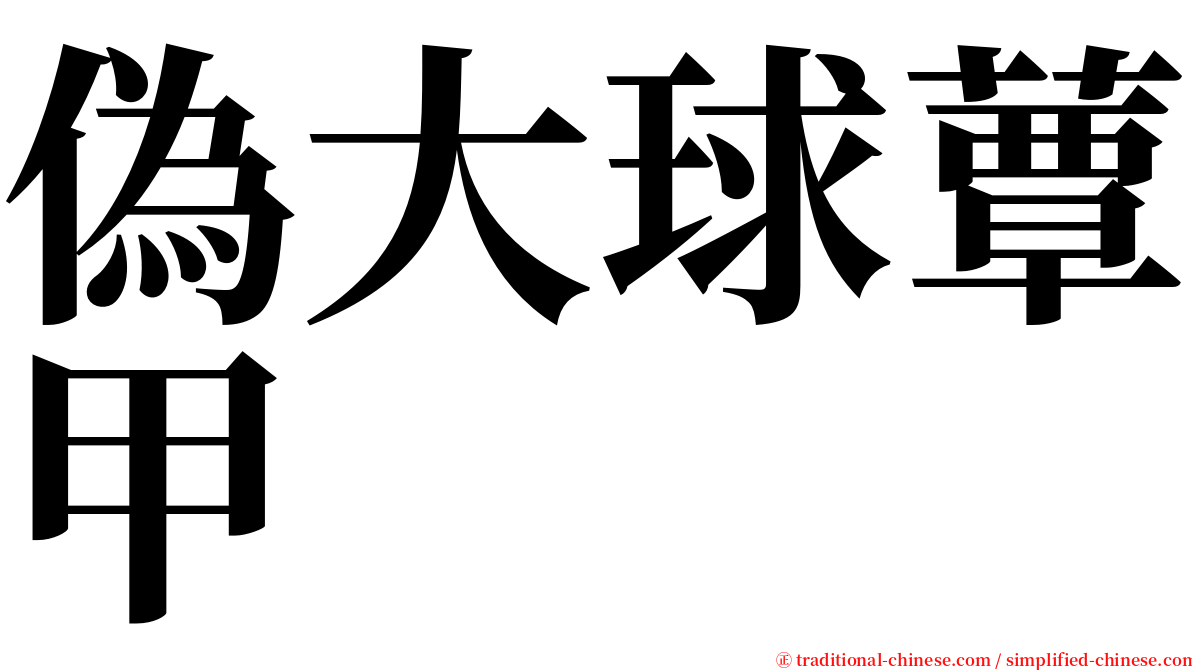 偽大球蕈甲 serif font