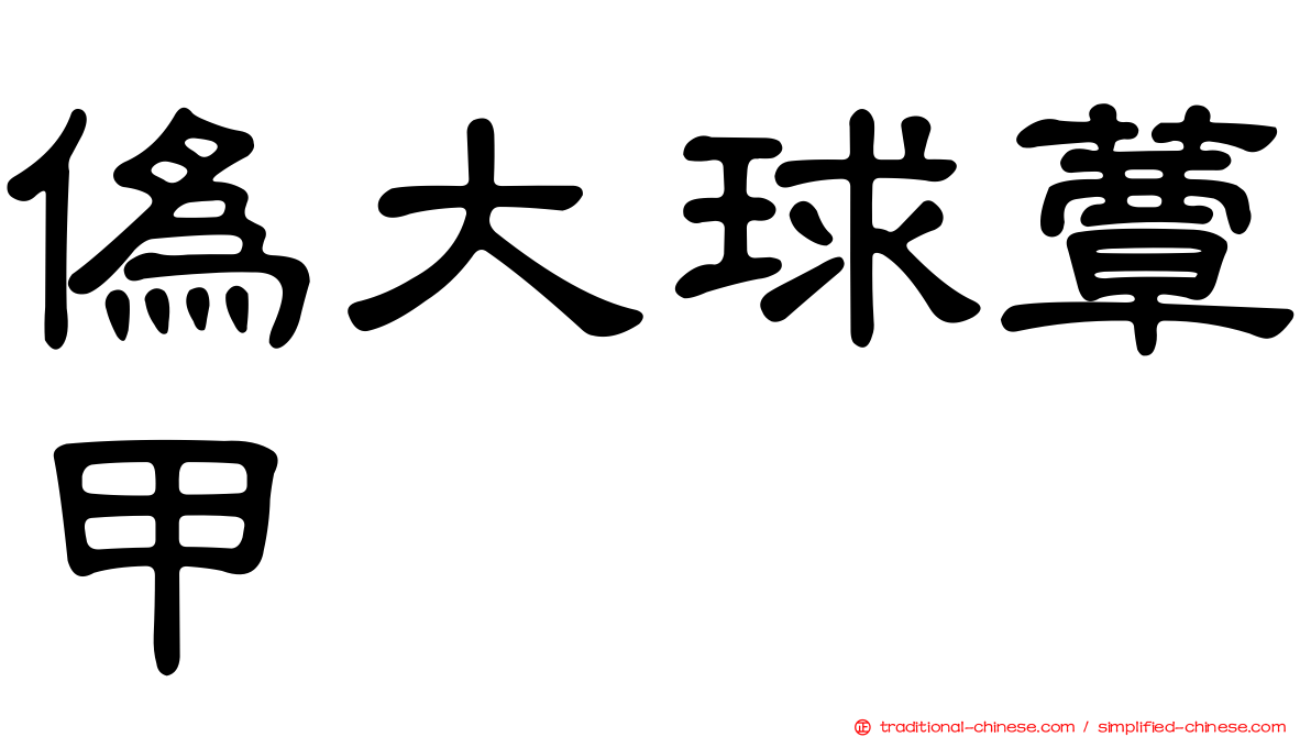 偽大球蕈甲