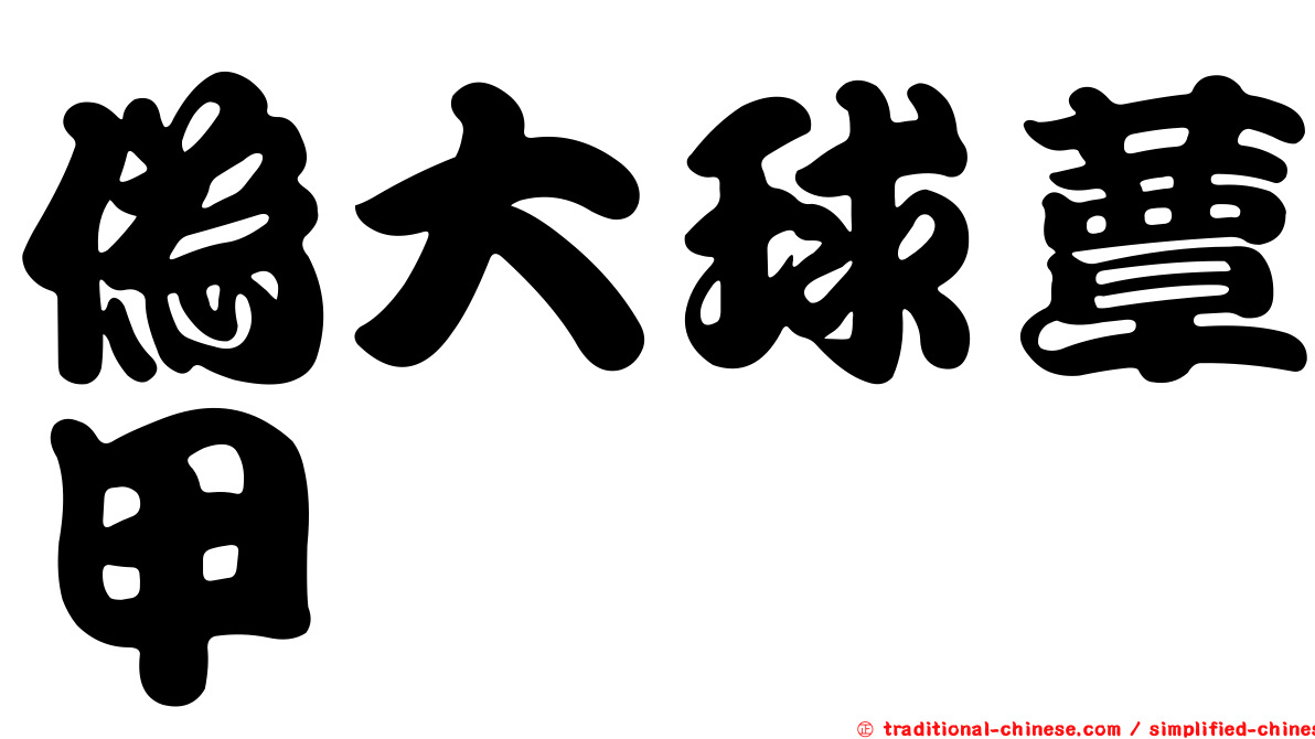 偽大球蕈甲