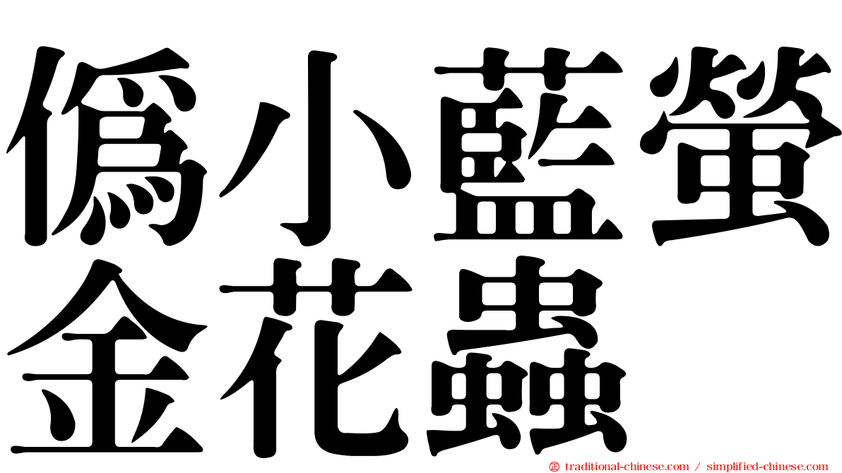 偽小藍螢金花蟲