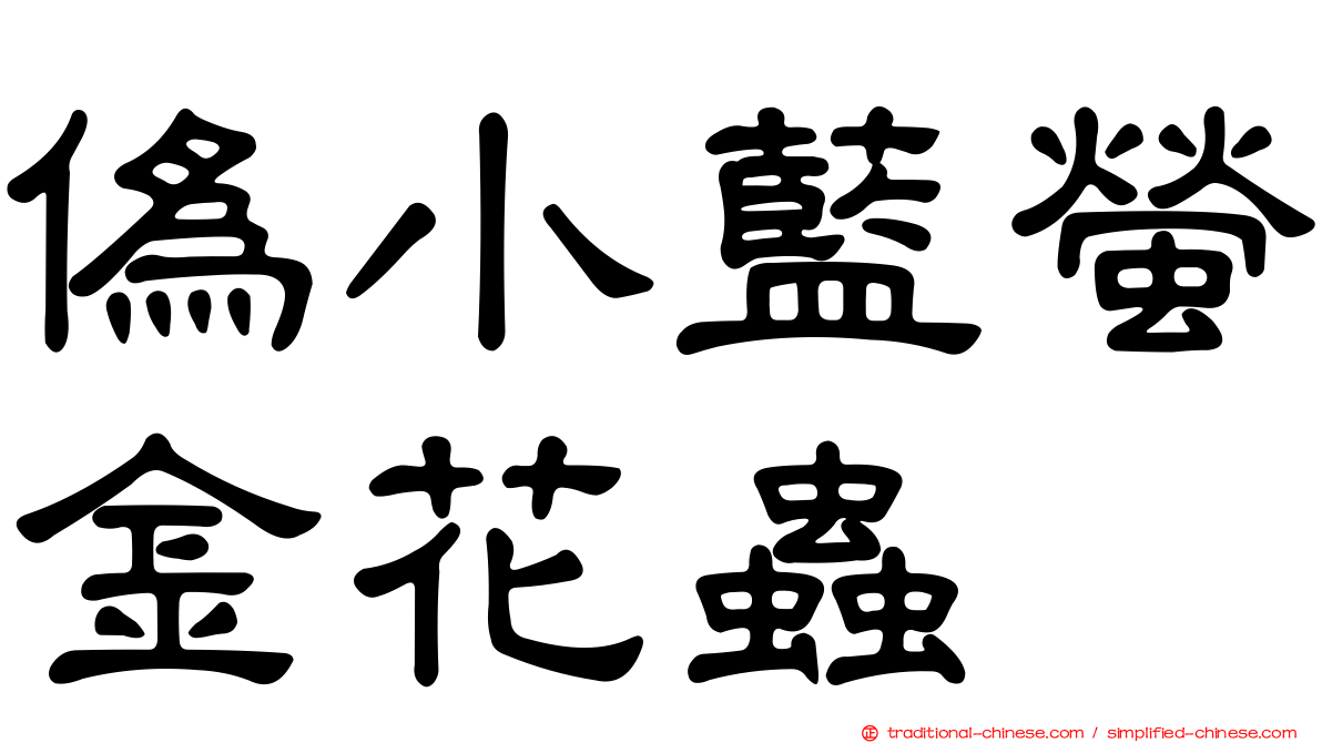 偽小藍螢金花蟲