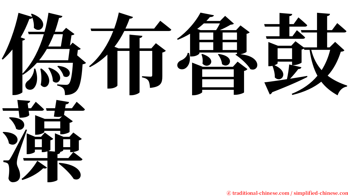 偽布魯鼓藻 serif font