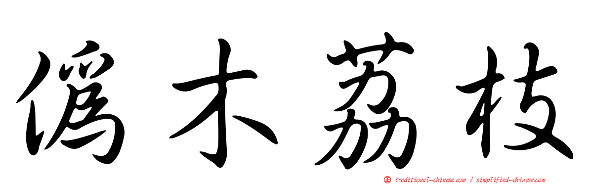 偽木荔枝