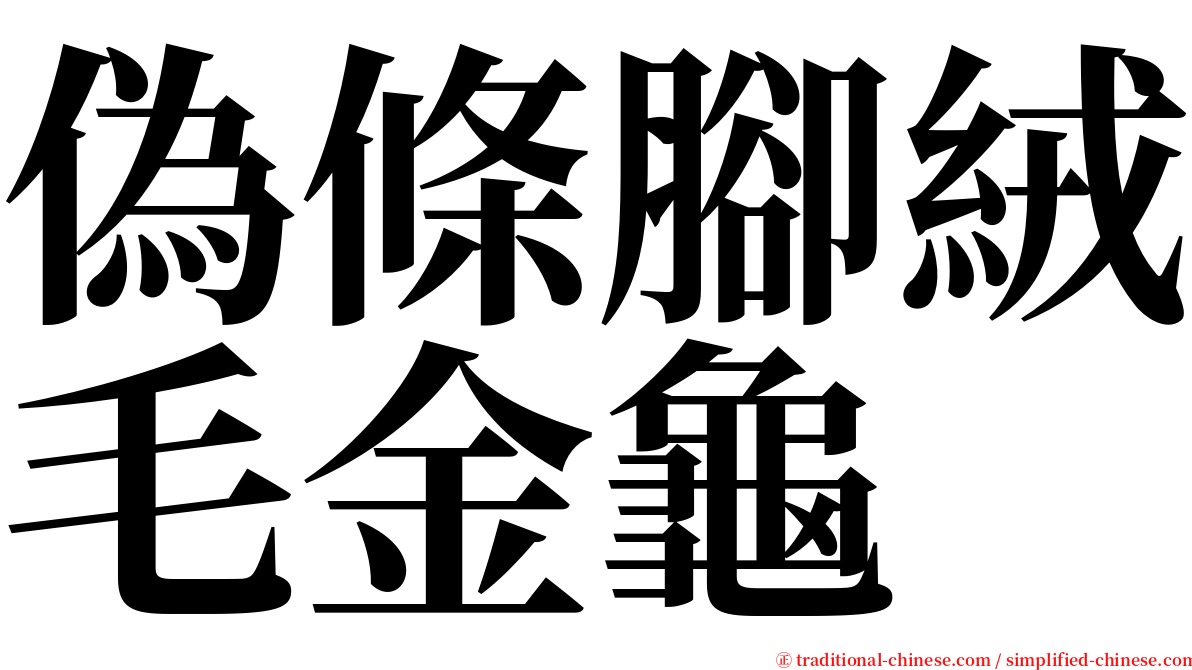 偽條腳絨毛金龜 serif font