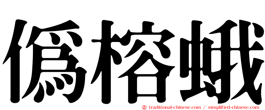 偽榕蛾