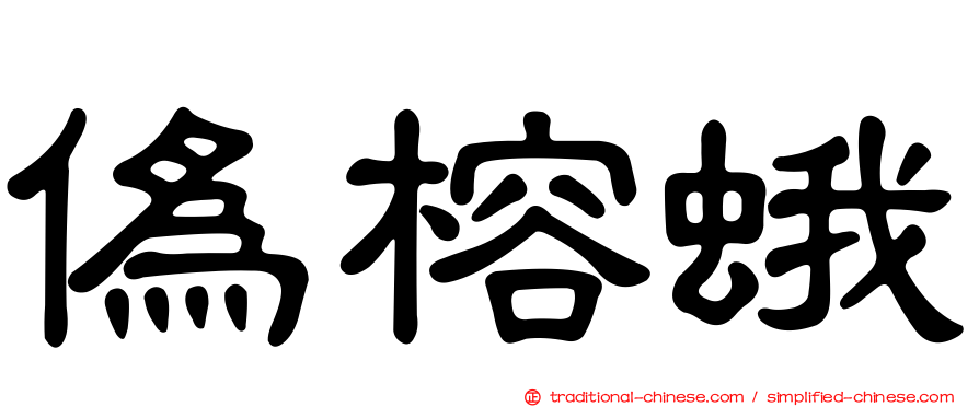 偽榕蛾