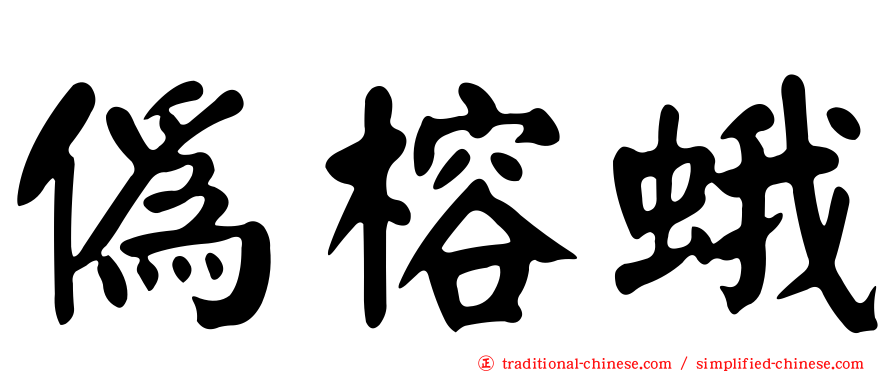 偽榕蛾