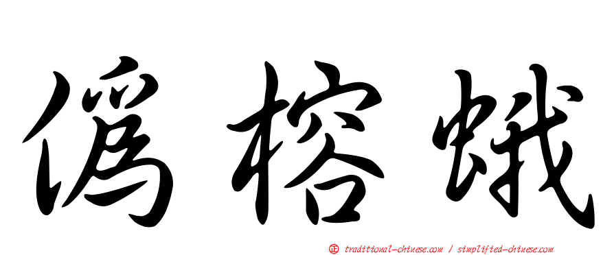 偽榕蛾