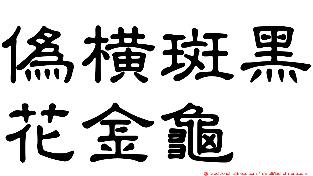 偽橫斑黑花金龜