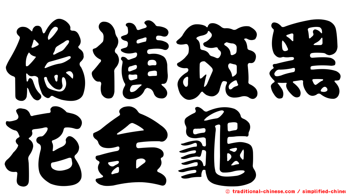 偽橫斑黑花金龜