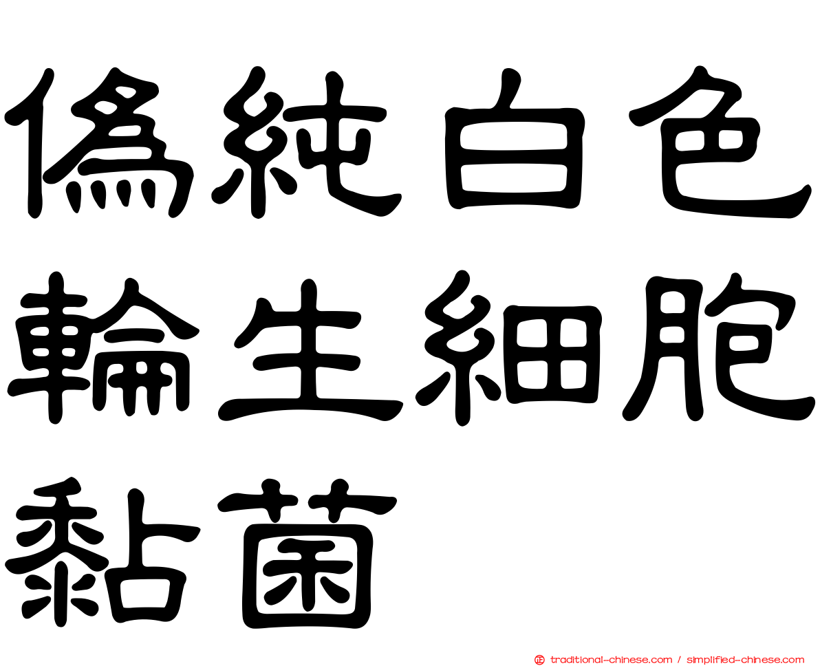 偽純白色輪生細胞黏菌