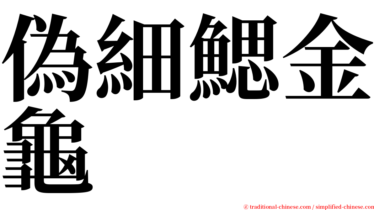 偽細鰓金龜 serif font