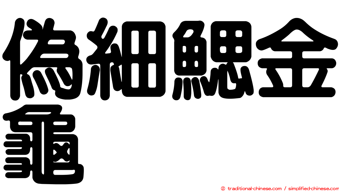 偽細鰓金龜