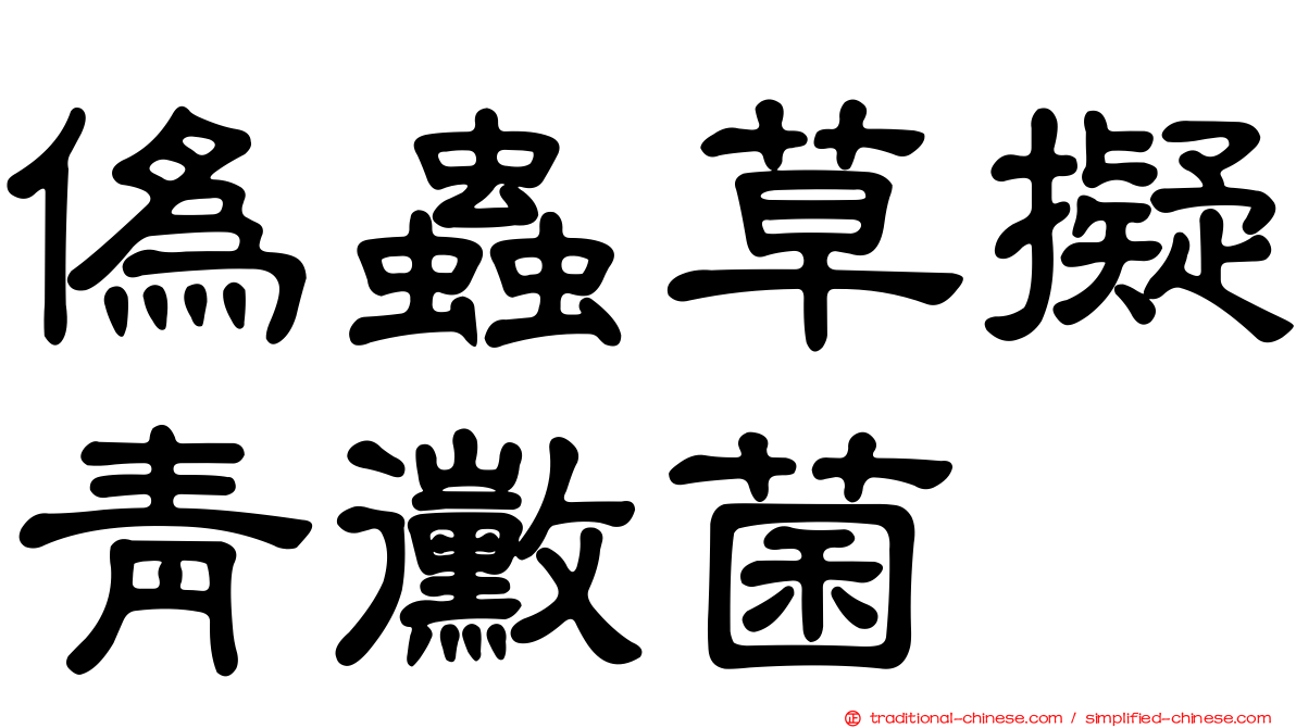 偽蟲草擬青黴菌