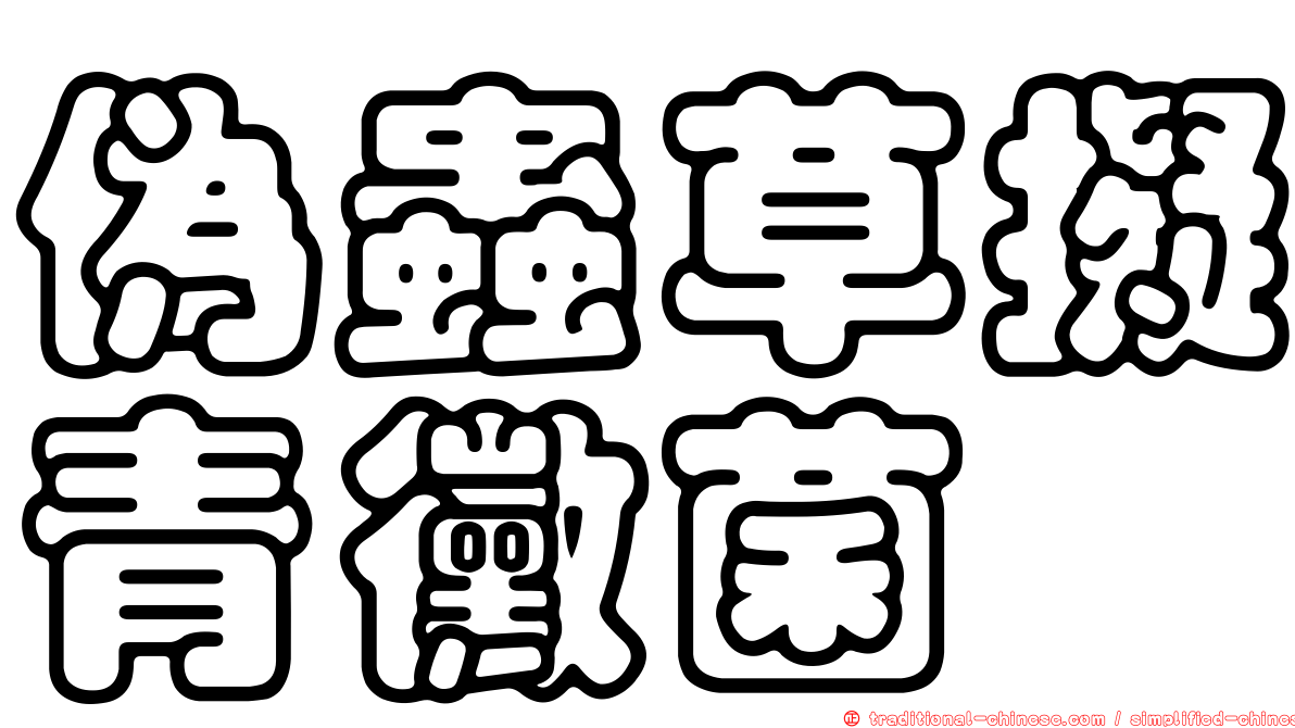 偽蟲草擬青黴菌