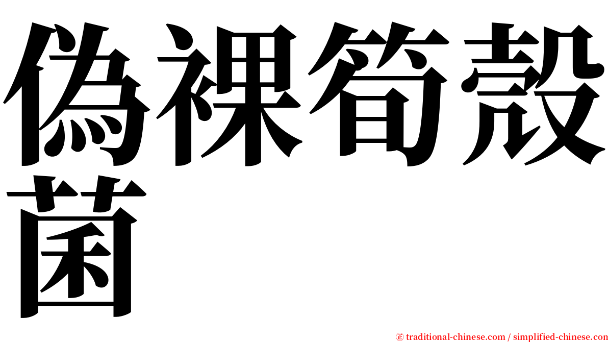 偽裸筍殼菌 serif font