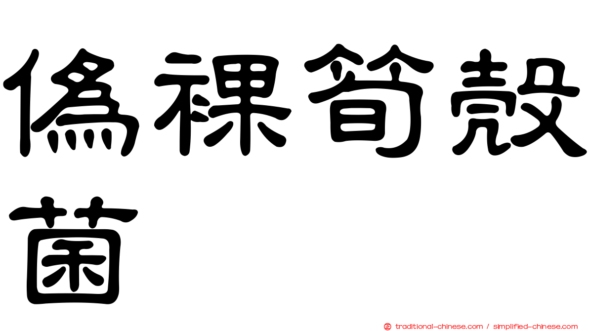偽裸筍殼菌