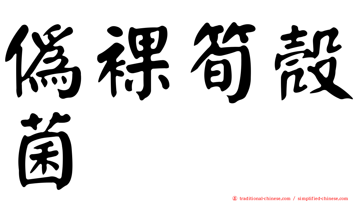 偽裸筍殼菌