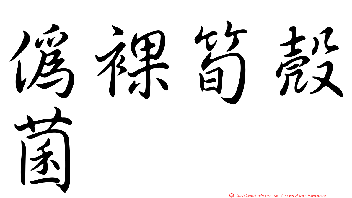 偽裸筍殼菌