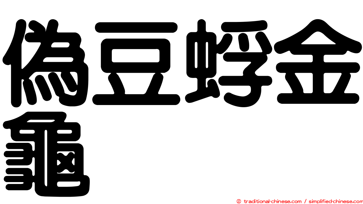 偽豆蜉金龜