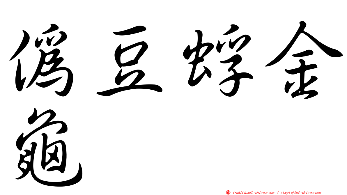 偽豆蜉金龜