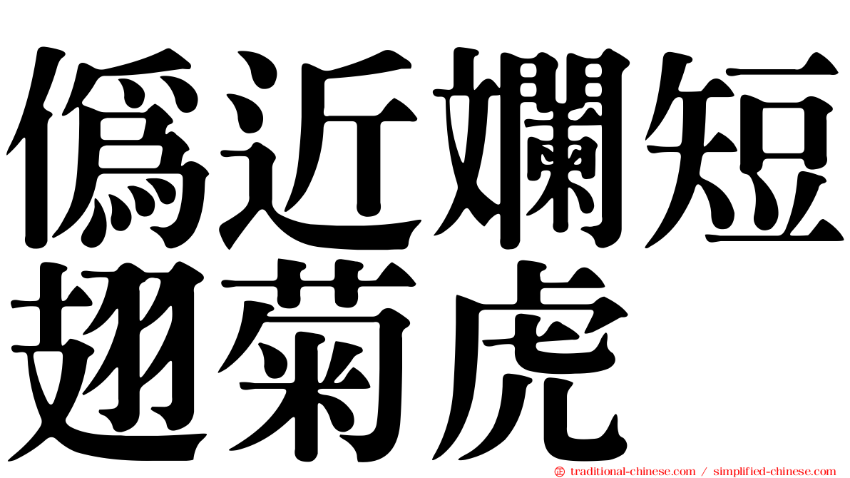 偽近斕短翅菊虎